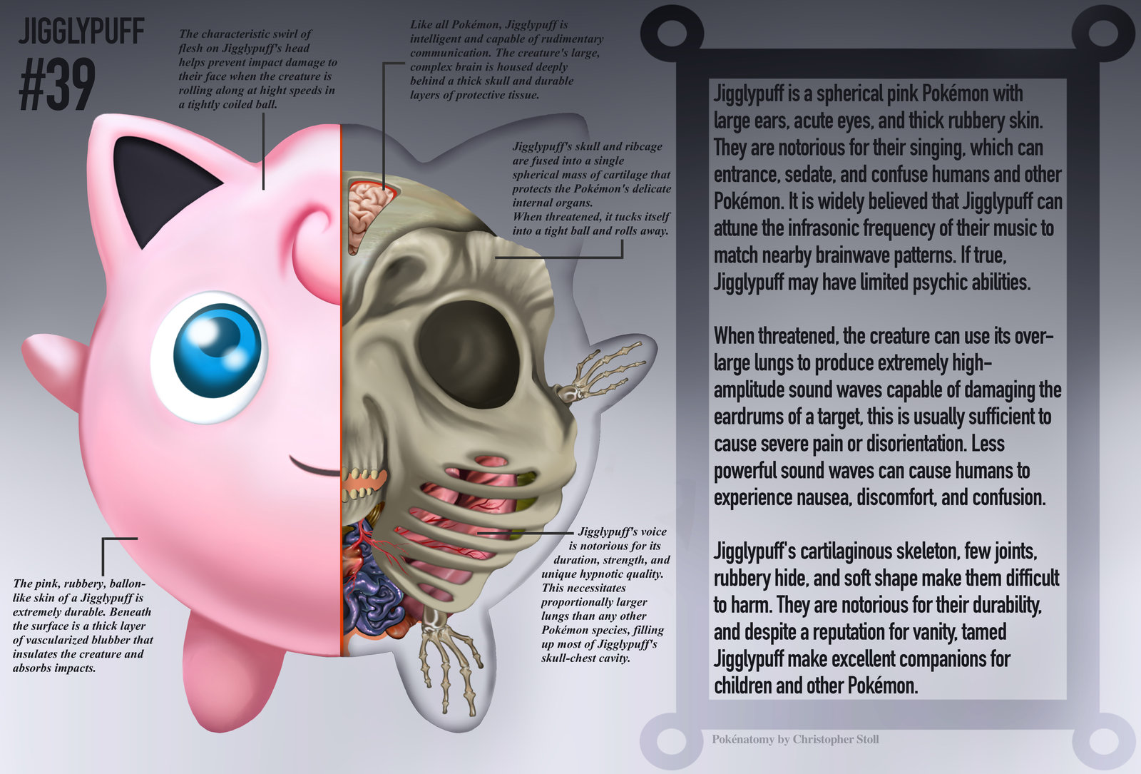 Pokémon Anatomía
