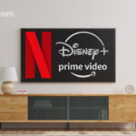NETFLIX AMAZON DISNEY PLUS