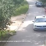 mujer atacada por tigre en china 2016
